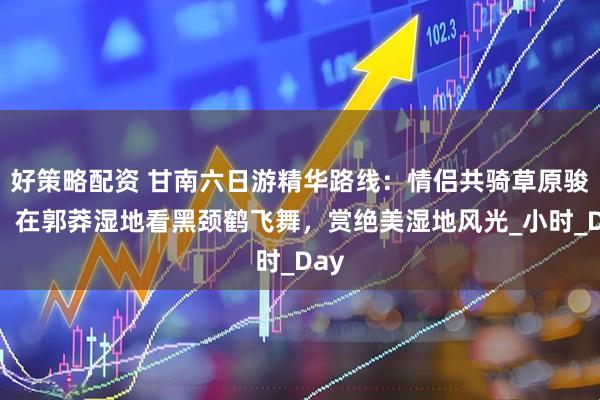 好策略配资 甘南六日游精华路线：情侣共骑草原骏马，在郭莽湿地看黑颈鹤飞舞，赏绝美湿地风光_小时_Day