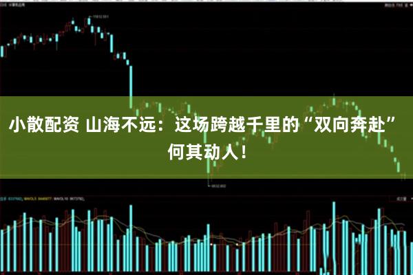 小散配资 山海不远：这场跨越千里的“双向奔赴” 何其动人！