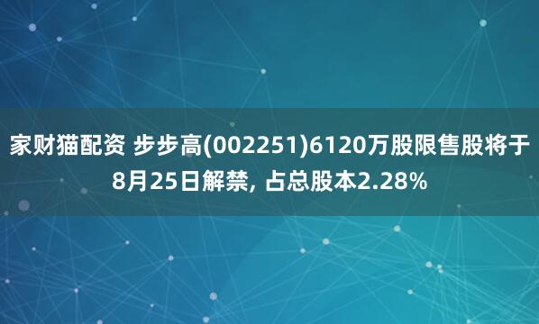 家财猫配资 步步高(002251)6120万股限售股将于8月25日解禁, 占总股本2.28%