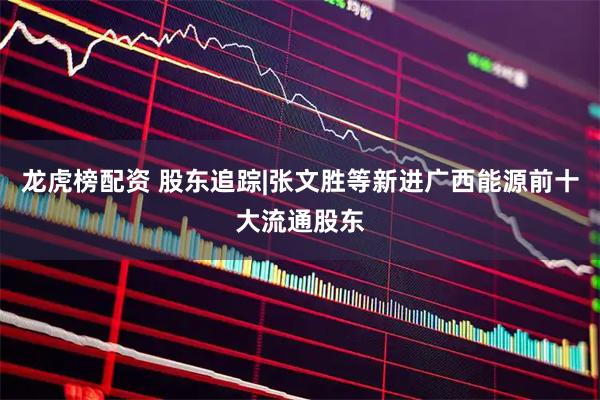 龙虎榜配资 股东追踪|张文胜等新进广西能源前十大流通股东