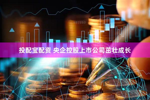 投配宝配资 央企控股上市公司茁壮成长