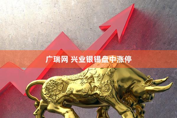广瑞网 兴业银锡盘中涨停