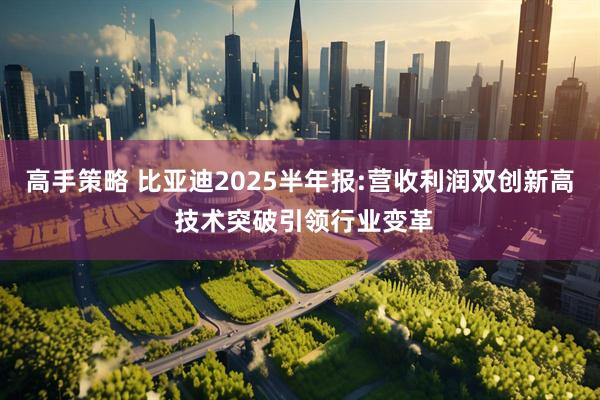 高手策略 比亚迪2025半年报:营收利润双创新高 技术突破引领行业变革