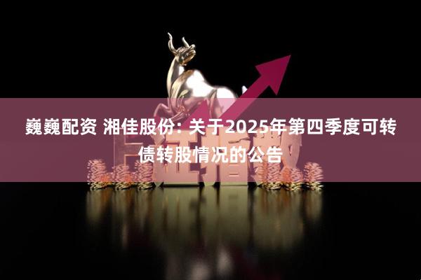 巍巍配资 湘佳股份: 关于2025年第四季度可转债转股情况的公告