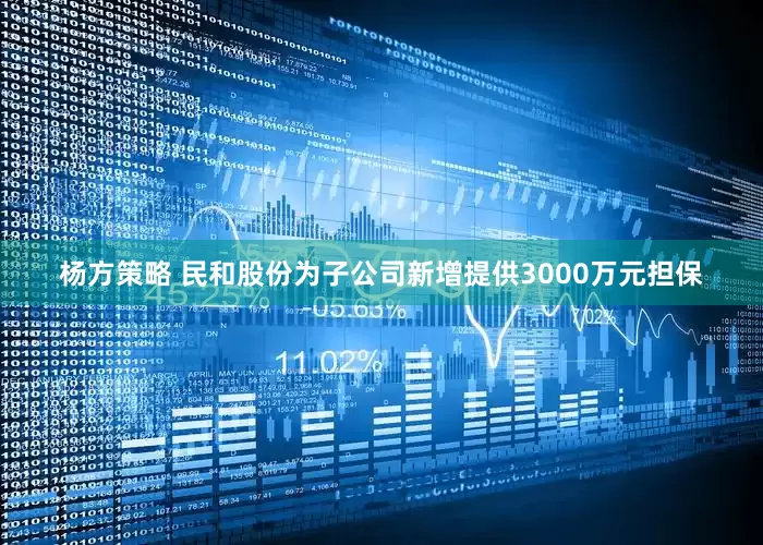 杨方策略 民和股份为子公司新增提供3000万元担保